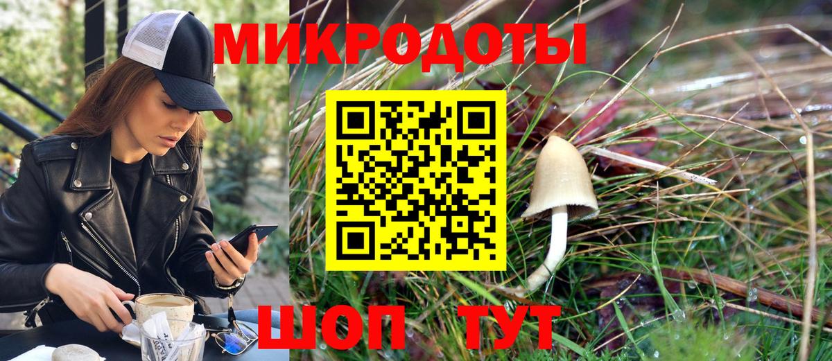 Галлюциногенные грибы прущие грибы Новороссийск