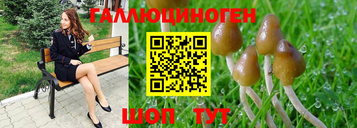 Галлюциногенные грибы MAGIC MUSHROOMS  Вход с VPN  Новороссийск 